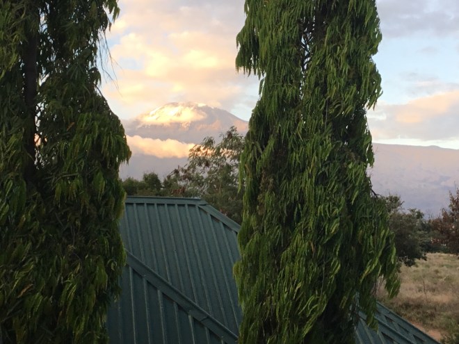 86E149C5-D024-4341-93B2-2C41A56F7E8C